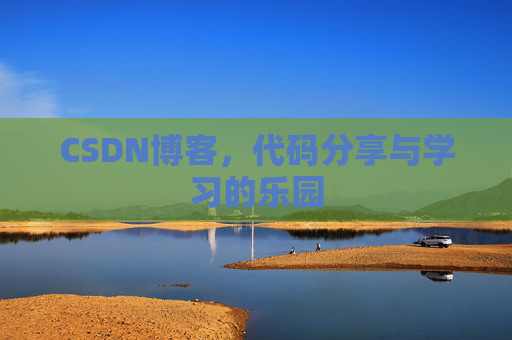 CSDN博客，代码分享与学习的乐园